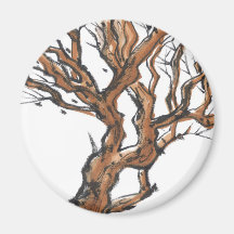 Twisting Tree Branches Magnet