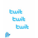 Twit Twit Twit Twitter! t-shirts