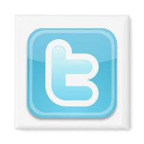 Twitter-ish! magnets