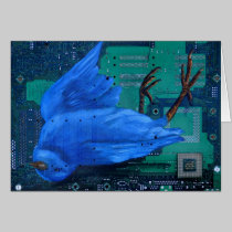 Twitter OD cards