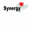 TWLG Synergy Shirt