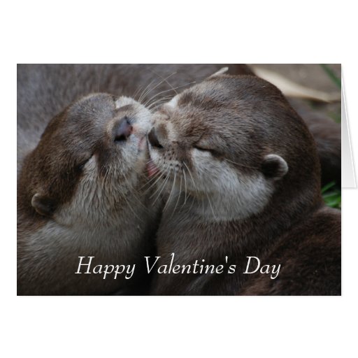 valentine's day stuffed otter