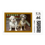 Two Adorabulls! Postage Stamps