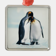 Two affectionate penguins ornament
