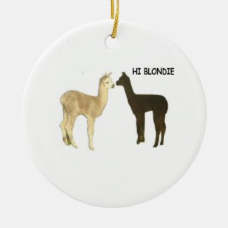 Two alpacas meet christmas ornaments