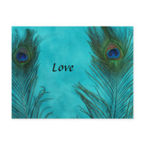 Two Aqua Peacock Feathers Postcards