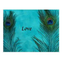 Two Aqua Peacock Feathers Postcards