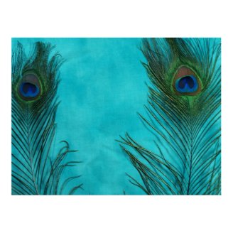 Two Aqua Peacock Feathers Posters