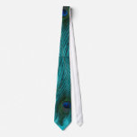 Two Aqua Peacock Feathers Neck Ties
