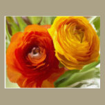 Two As One Greeting Cards postcards