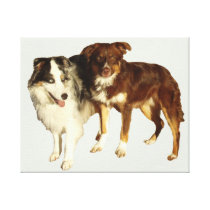 Two Aussies Canvas Prints