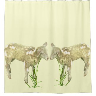 Two Baby Lambs on Yellow Shower Curtain