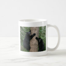 two bears in a tree coffee mugs