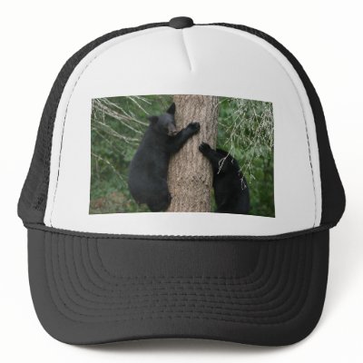 Bears In Hats