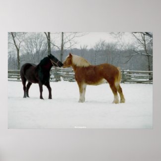 Two Beautiful Horses print
