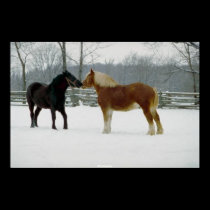Two Beautiful Horses posters by MickeyElvis Two Beautiful Horses posters