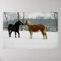 Two Beautiful Horses posters
