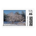 TWO BEAUTIFUL SNOW COVERED TREES" postage