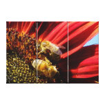 Two bee or not to bee gallery wrapped canvas