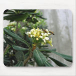 Two Bees Mousepad