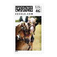 Two Belgian Draft Horses Postage