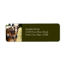 Two Belgian Draft Horses Return Address Label