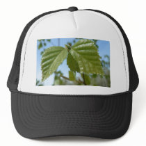Two Birch Leav Mesh Hat