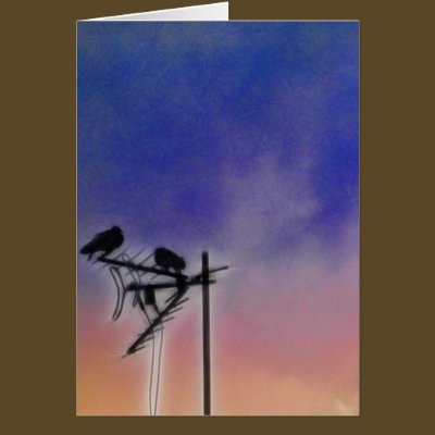 Two Birds at Sunset Card by OutdoorArt