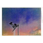 Two Birds at Sunset Greeting Cards