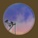 Two Birds at Sunset magnets by OutdoorArt Two Birds at Sunset magnets