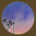 Two Birds at Sunset stickers by OutdoorArt Two Birds at Sunset stickers