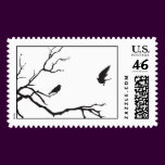 Two birds in a tree