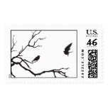 Two birds in a tree