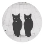 Two Black Cats sticker