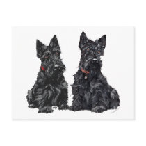 Two Black Scottish Terriers Postcard