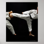 Two Blackbelts Sparring 2 Poster