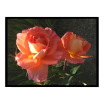 Two Blooms Posters posters by wingedturtle Two Blooms Posters posters