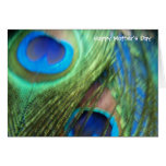 Two Blue Peacock Feathers Mother's Day Card