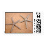 Two Blue Starfish on Sand Design Postage