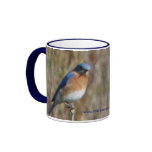 Two Bluebirds Coffee Mug