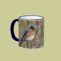 Two Bluebirds mugs
