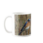 Two Bluebirds Mug