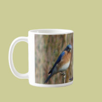 Two Bluebirds mugs