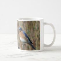 Two Bluebirds mugs