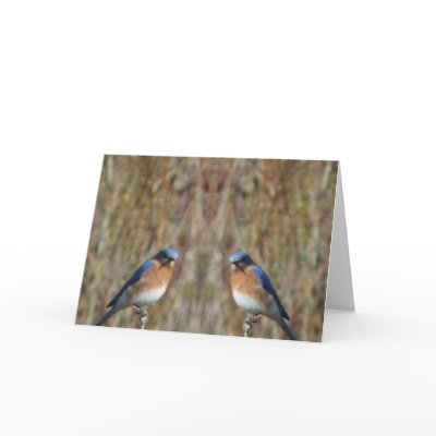 "Two Bluebirds with Angel" Greeting Cards by MaryMcandrew