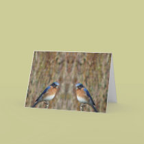 "Two Bluebirds with Angel" cards