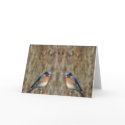 "Two Bluebirds with Angel" cards
