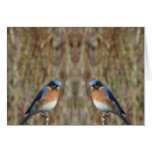 "Two Bluebirds with Angel" Greeting Cards