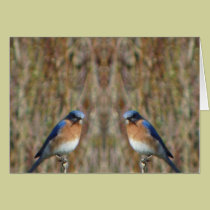 "Two Bluebirds with Angel" cards