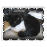 Two Bobtail Cats Named Jacob and Sasha Calendar